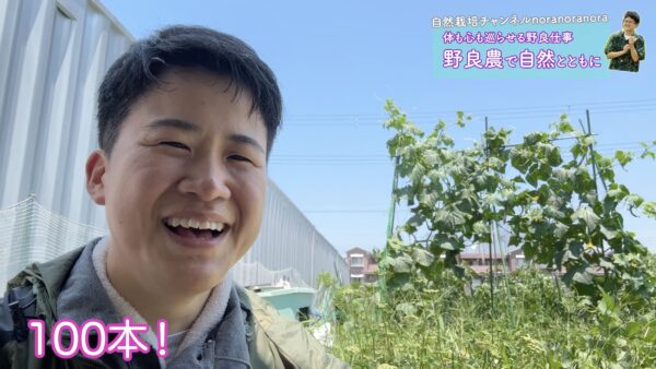 猛暑のなかの野菜たち〈野良農：夏畝ツアー〉