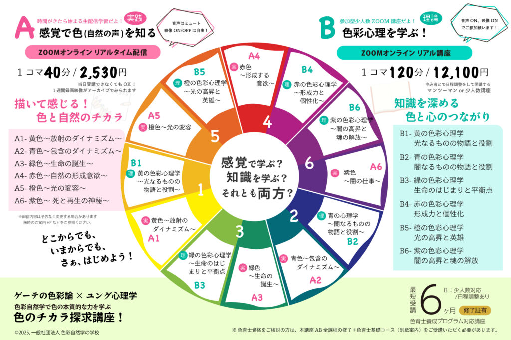 色彩自然学基幹コース