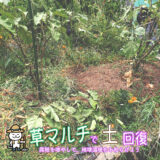 土の回復（地球温暖化問題）への取り組み