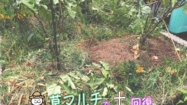 土の回復（地球温暖化問題）への取り組み