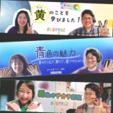 色の本質マスター講座〈個別オンラインクラス〉