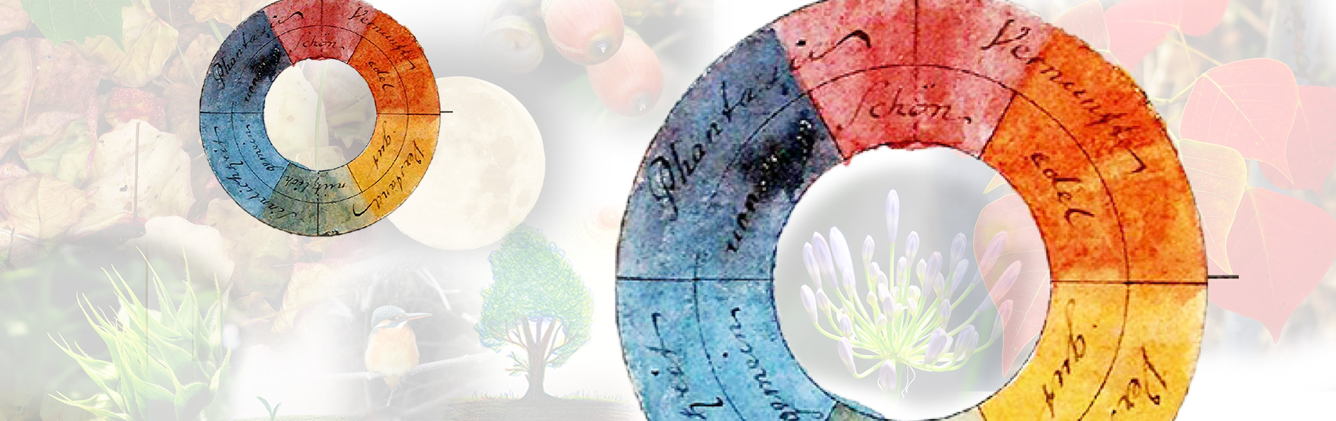 色の本質マスター講座|色彩自然学の学校